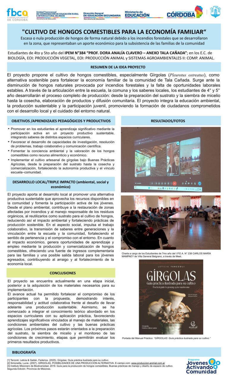 IPEM 384 TALA CAÑADA